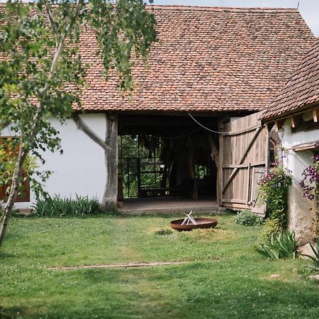 Viscri 9 Guest House ภายนอก รูปภาพ